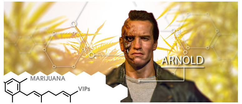VIP della cannabis: Arnold Schwarzenegger