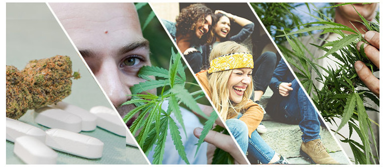 I 4 Modi in cui la cannabis sta cambiando il mondo