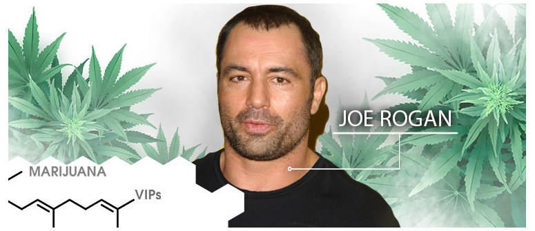 VIP della cannabis: Joe Rogan