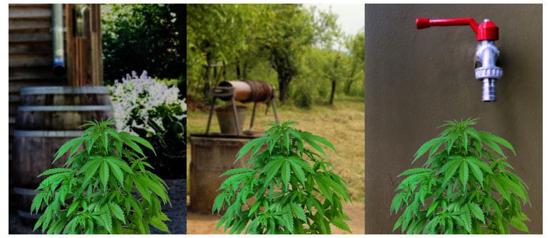 Differenza tra acqua piovana, acqua di rubinetto e acqua sotterranea Differenza tra acqua piovana, acqua di rubinetto e acqua sotterranea