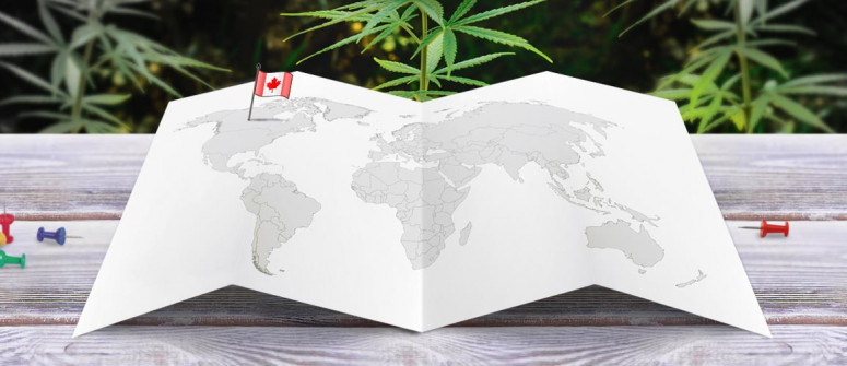 Statuto Giuridico della Marijuana in Canada