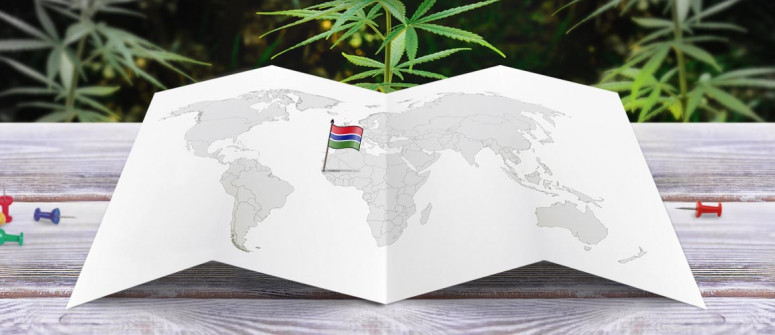 Stato legale della cannabis in Gambia