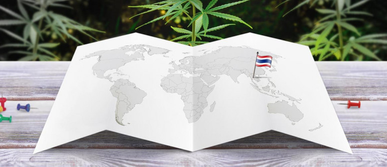 Lo statuto legale della cannabis in Thailandia 