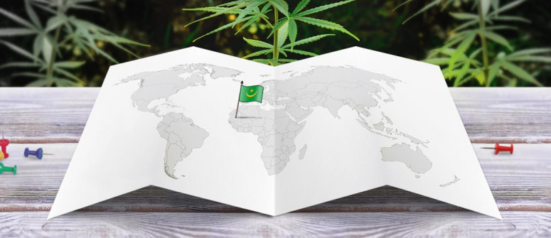 Stato legale della cannabis in Mauritania