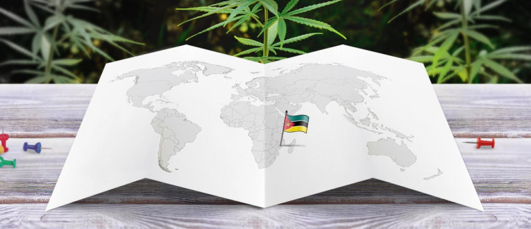 Stato legale della cannabis in Mozambico