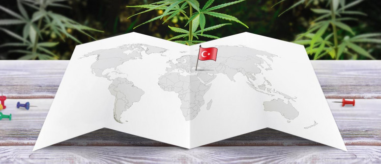 Statuto Legale della Marijuana in Turchia