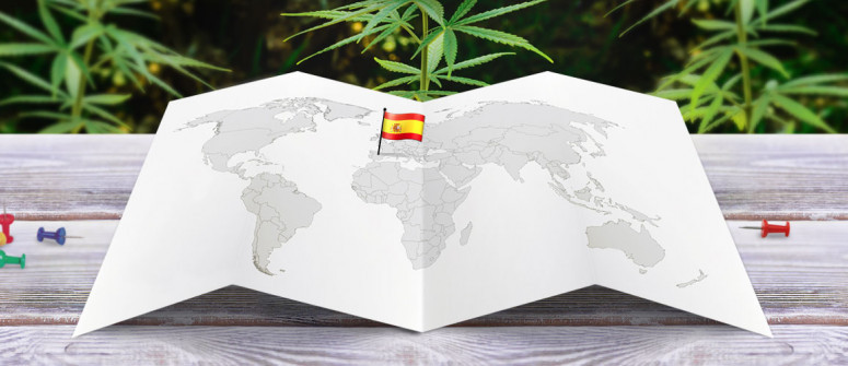 Statuto Legale della Marijuana in Spagna