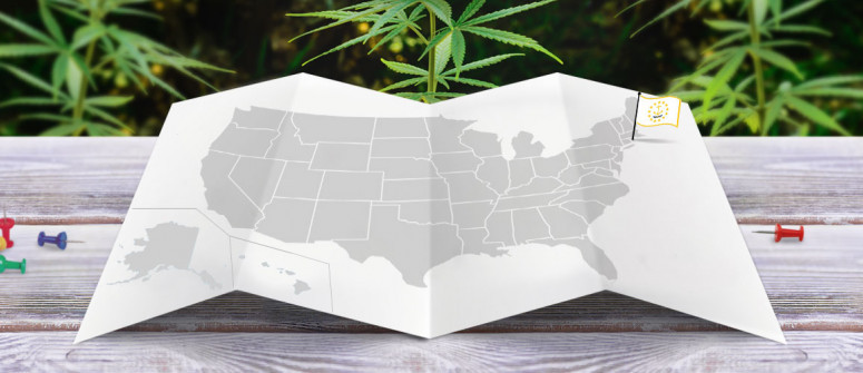 Statuto Giuridico della Marijuana nello Stato del Rhode Island