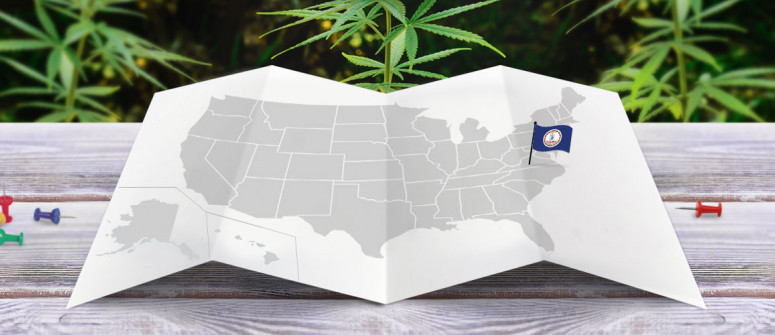 Statuto Giuridico della Marijuana nello Stato della Virginia