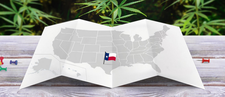 Statuto Giuridico della Marijuana nello Stato del Texas