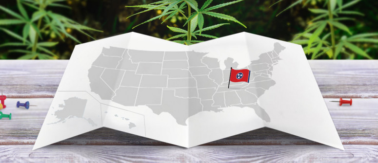 Statuto Giuridico della Marijuana nello Stato del Tennessee