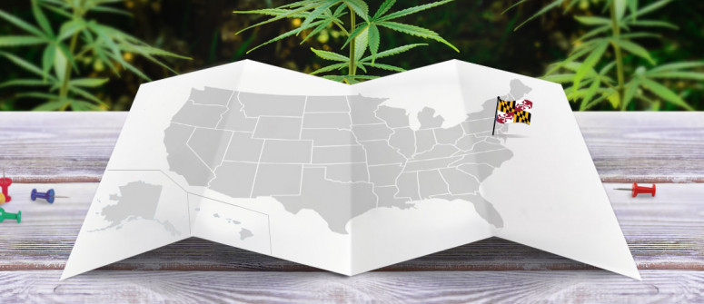 Statuto Giuridico della Marijuana nello Stato del Maryland