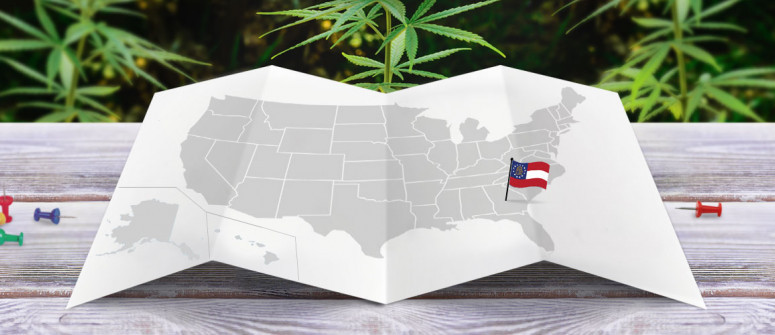 Statuto Giuridico della Marijuana nello Stato della Georgia