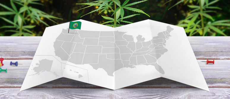 Statuto Giuridico della Marijuana nello Stato di Washington