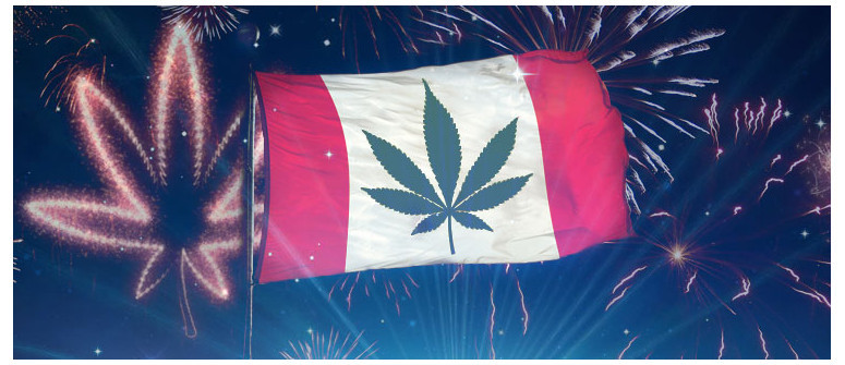 Il Gran Giorno è Arrivato: La ganja è legale in Canada!