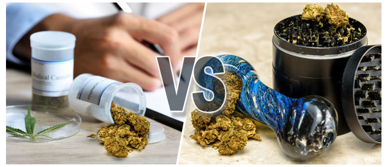 Marijuana terapeutica vs. ricreativa - che differenza c'è? Marijuana terapeutica vs. ricreativa - che differenza c'è?