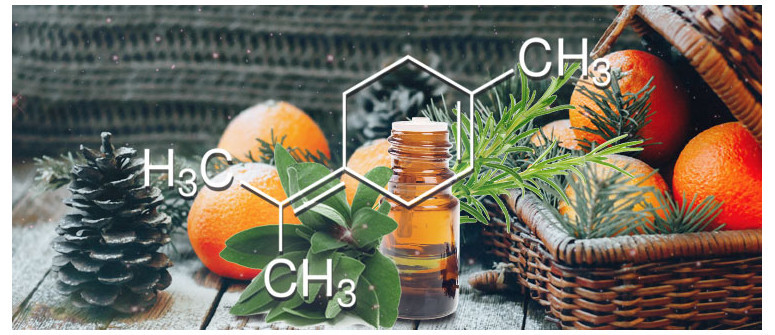 Profilo Terpenico: Terpinolene