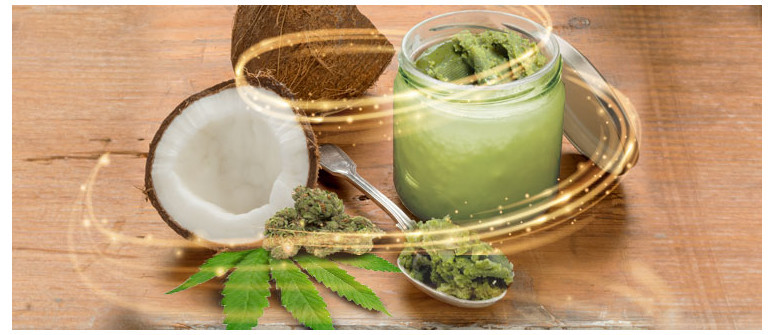 Olio di cocco alla cannabis: benefici e preparazione