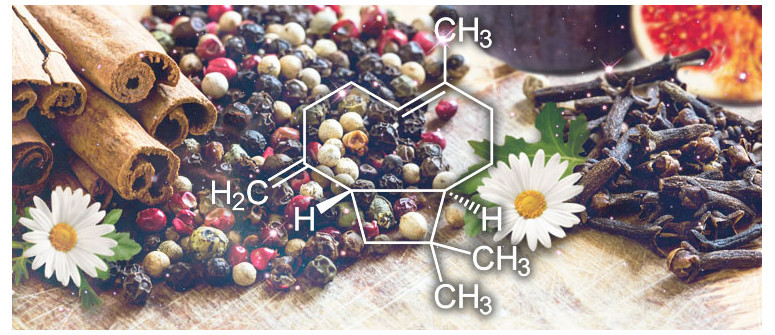 Profilo Terpenico: β-Carioffilene