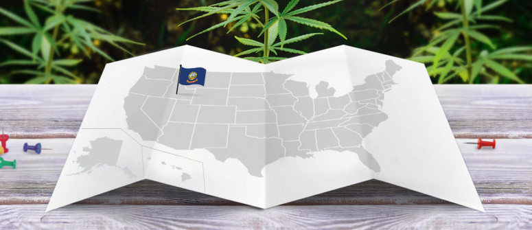 Statuto Giuridico della Marijuana nello Stato dell'Idaho