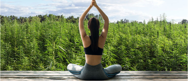 Combinare marijuana e yoga è una buona idea? Ecco i pro e i contro 