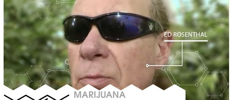 VIP della cannabis: Ed Rosenthal