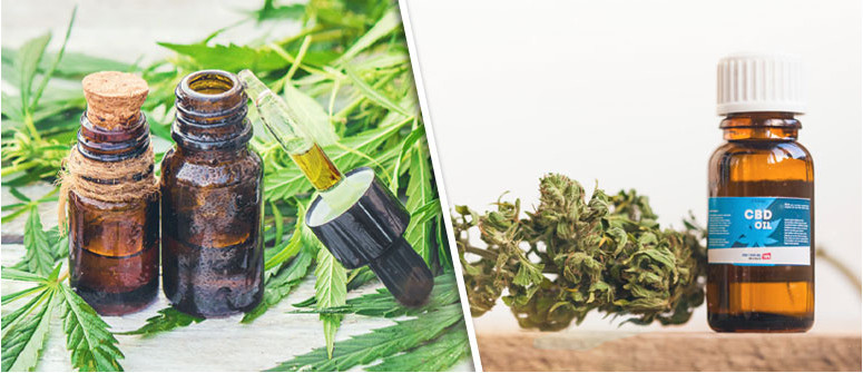 La differenza tra olio di CBD E olio di cannabis