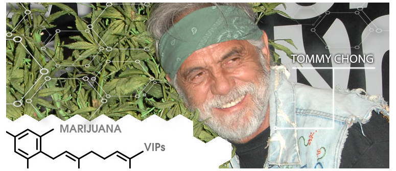 VIP della cannabis: Tommy Chong