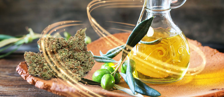 Come Preparare Olio d'Oliva Infuso di Cannabis