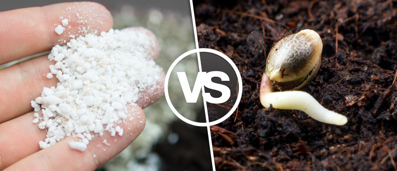 Concime organico vs artificiale: Cosa è meglio per la cannabis?