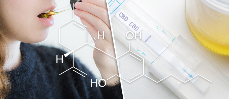 Assumendo Olio di CBD Si Può Fallire un Test Antidroga?