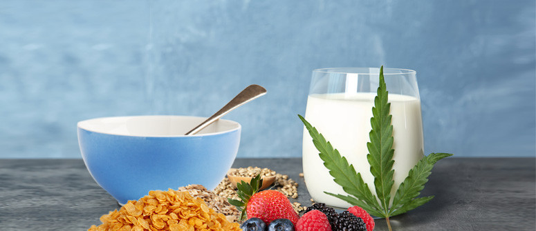 Latte Alla Cannabis E Cereali: La Colazione Dei Campioni!