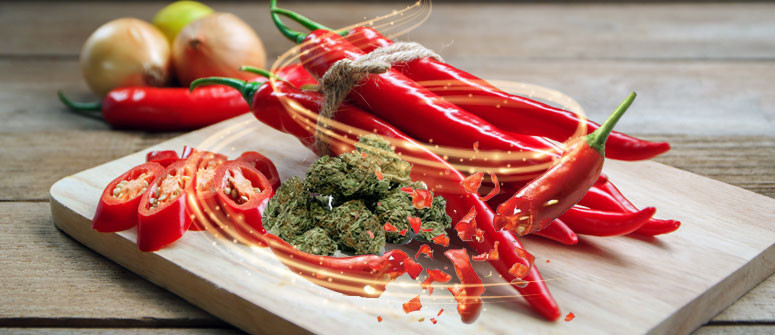 Combinando Peperoncino e Cannabis Si Può Alleviare il Mal di Stomaco