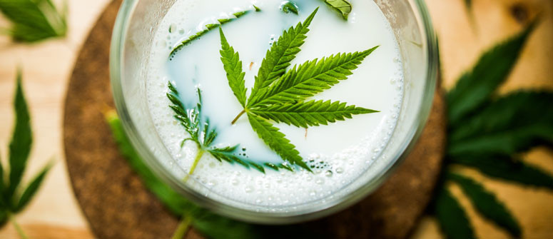 Come preparare il latte alla marijuana
