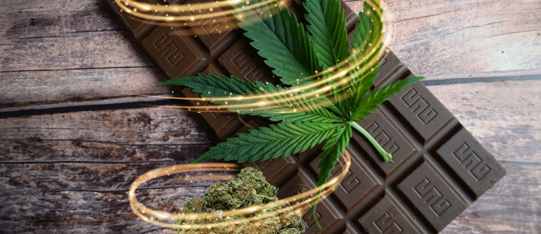 Ricetta della Cioccolata alla Cannabis