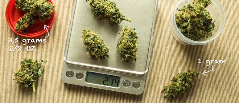 Quantità di cannabis che creano confusione: grammi, quarti, decimi e once Quantità di cannabis che creano confusione: grammi, quarti, decimi e once