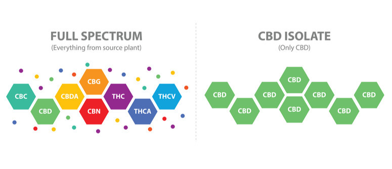 Olio di CBD a spettro completo vs CBD isolato: Qual è la differenza?