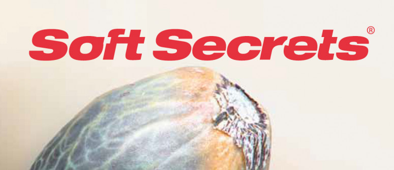 Recensione del sito web: Soft Secrets