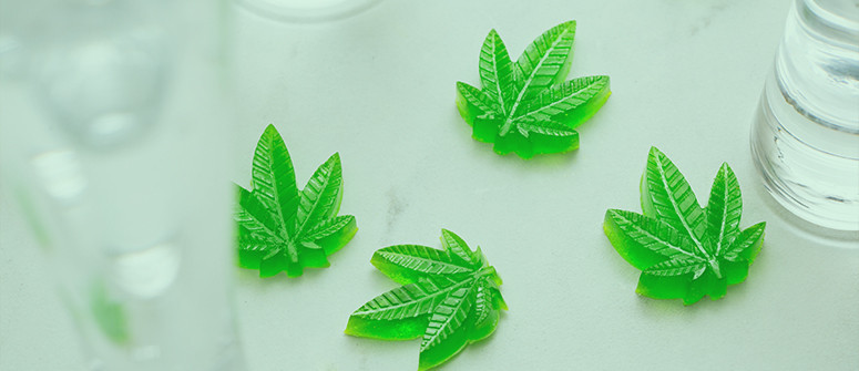 Come calcolare la dose di THC negli edibili di cannabis Come calcolare la dose di THC negli edibili di cannabis