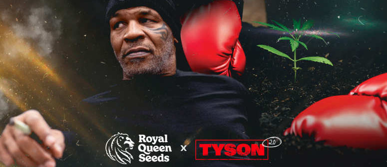 RQS unisce le forze con Tyson 2.0