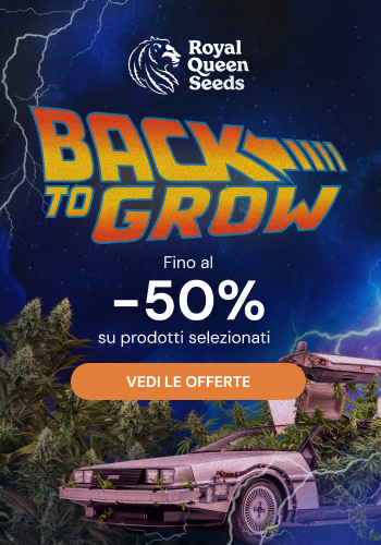 Royal Queen Seeds