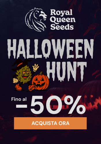Royal Queen Seeds