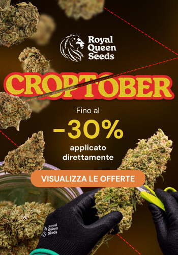 Royal Queen Seeds