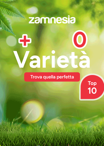 Zamnesia