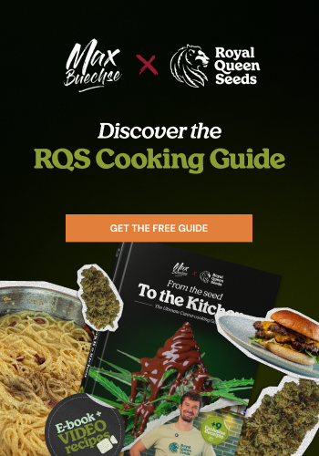 Royal Queen Seeds